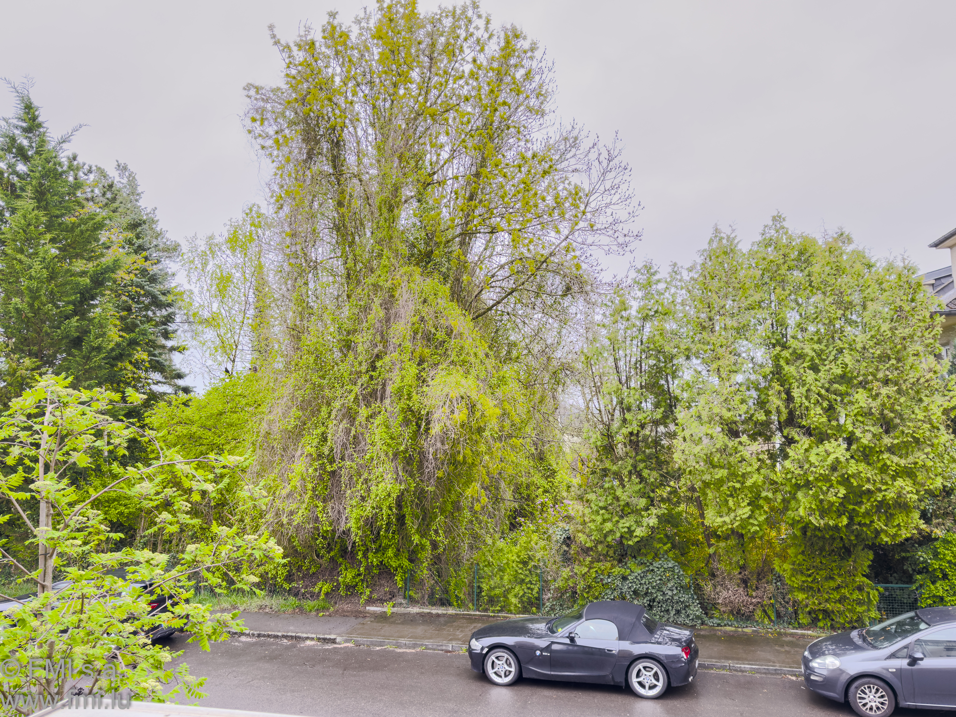 Image 17