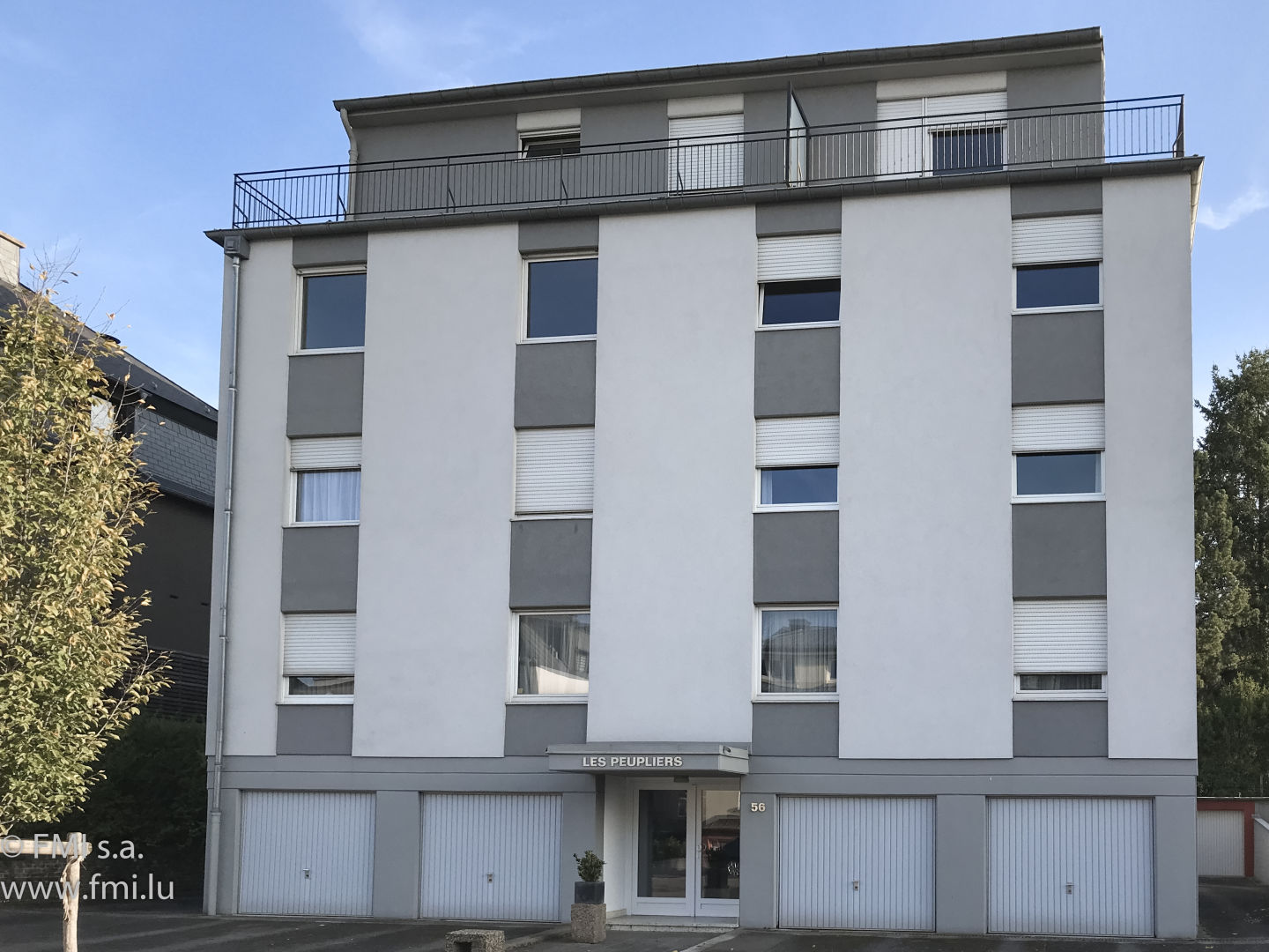 Image 20